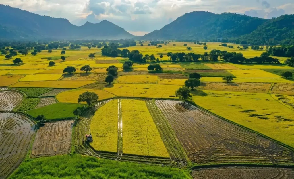 Thuê Xe 7 Chỗ Đi An Giang
